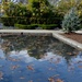 The Arboretum’s reflecting pool  by louannwarren