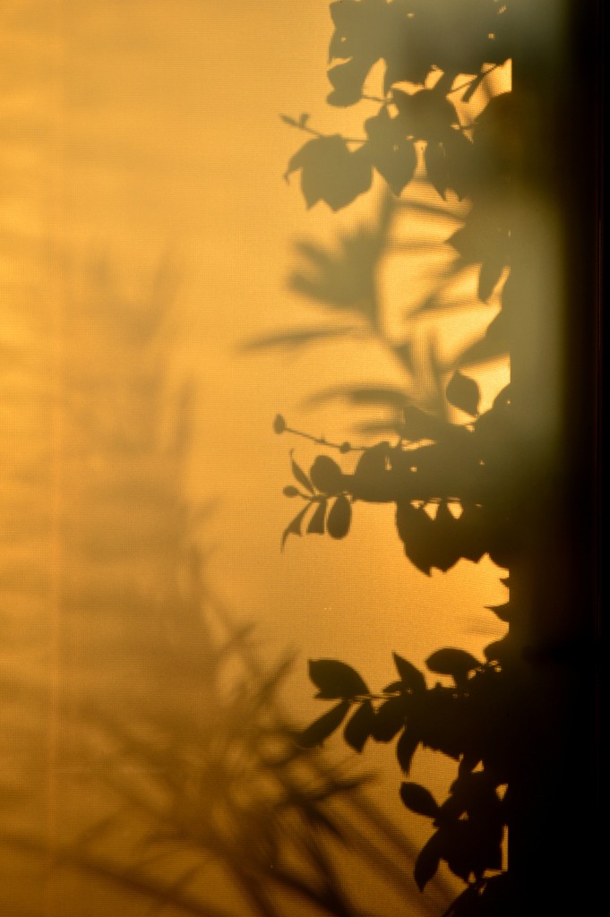 sunset through the window by caterina