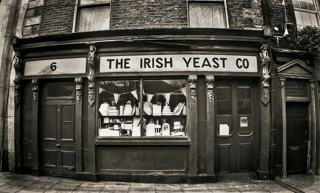 The Irish Yeast Co by jack4john