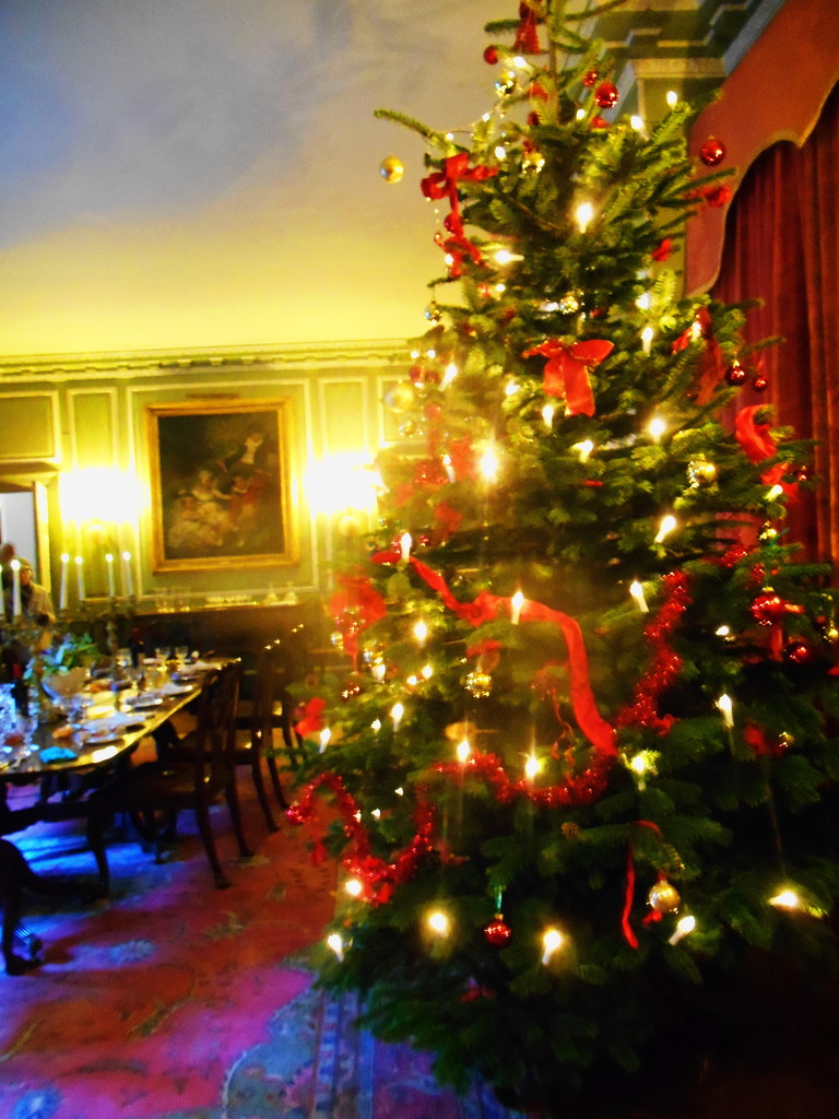 Christmas at Croft Castle... by snowy