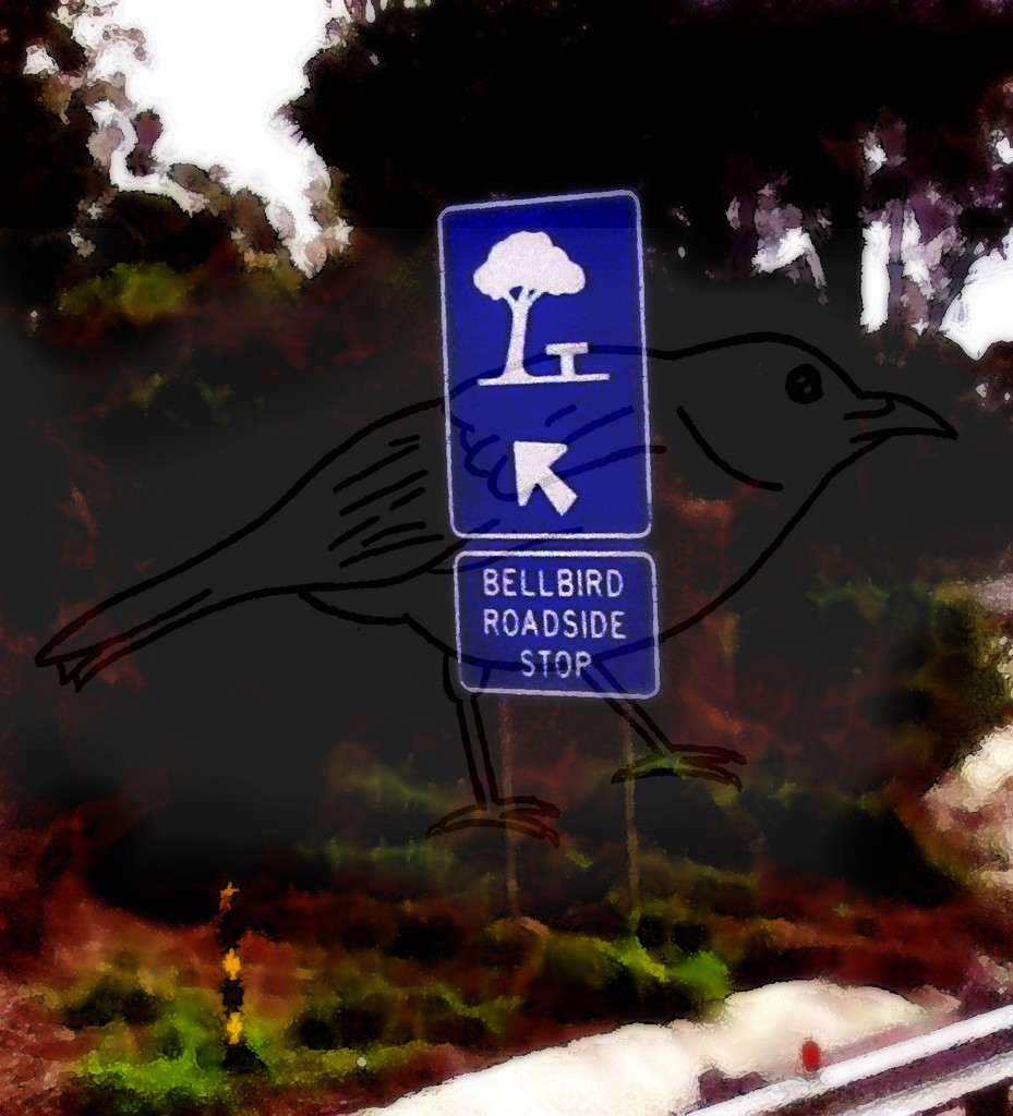 Bellbirds by robz