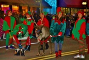 2nd Dec 2017 - A Reindeer and Large Elves