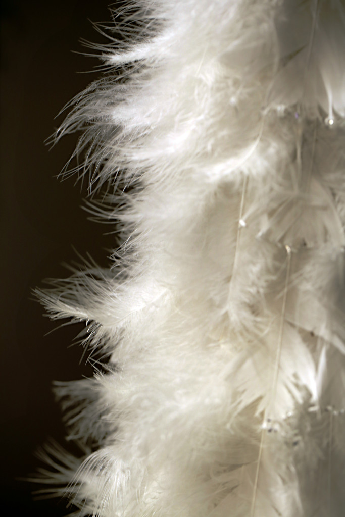 White Feathers by gq