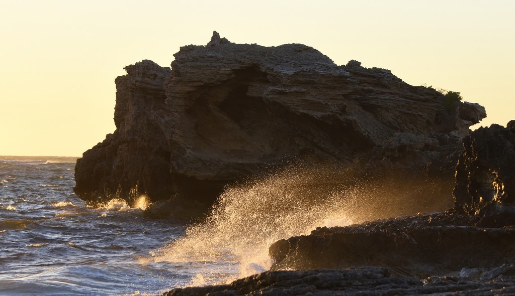 A Windy Evening At Point Peron_DSC9769 by merrelyn