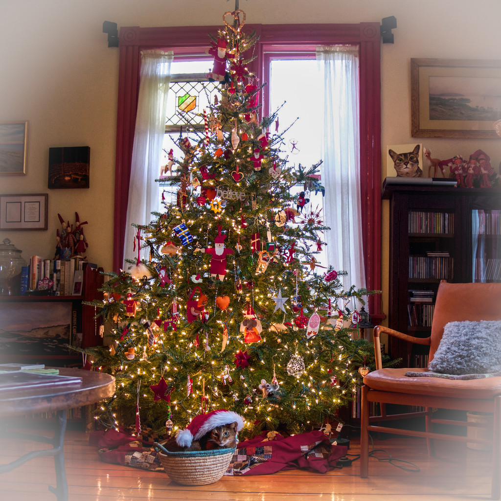 Christmas tree and Santa Cat by berelaxed