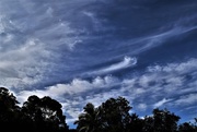 7th Dec 2017 - Wispy Clouds ~