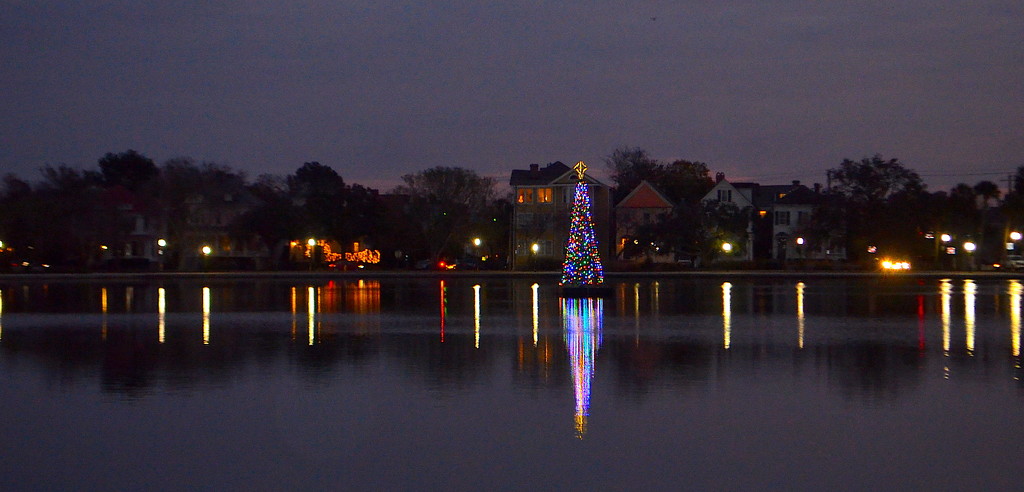 Colonial Lake Christmas tree, Charleston, SC by congaree
