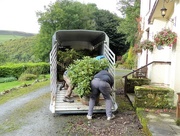 9th Sep 2017 -  Transporting Rhododendrons from Kilsby