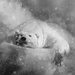 Polar Peekaboo by jesperani