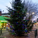 Christmas Tree by davemockford