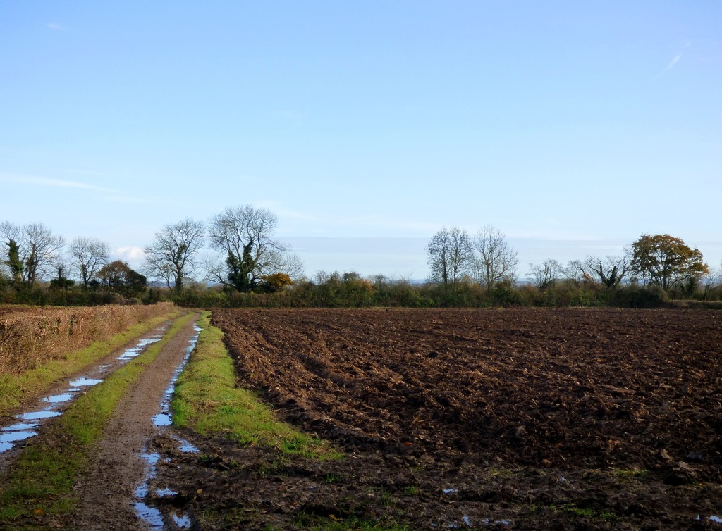 Ploughed and ready for next year by julienne1