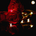 Red Advent Roses with Bokey Glitter. by 30pics4jackiesdiamond