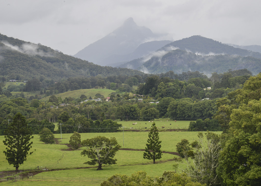 View to Mt Warning by jeneurell