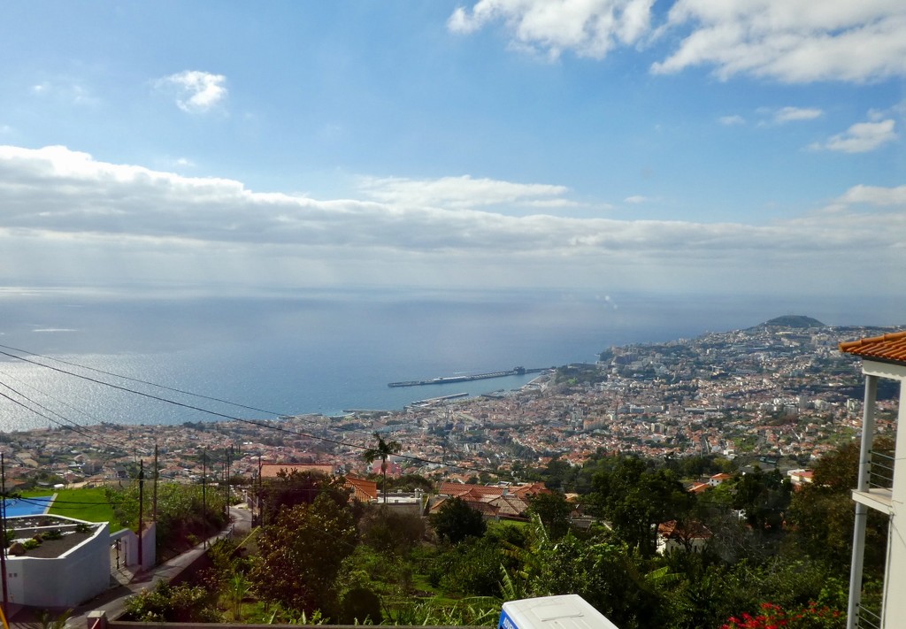 Amazing view over Funchal by orchid99