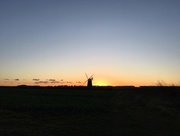 8th Dec 2017 - Burnham-overy-Staithe windmill
