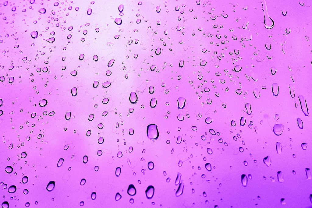 Purple Rain by homeschoolmom