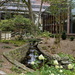 Japanese Garden 2 by redandwhite
