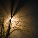 A foggy evening by cristinaledesma33