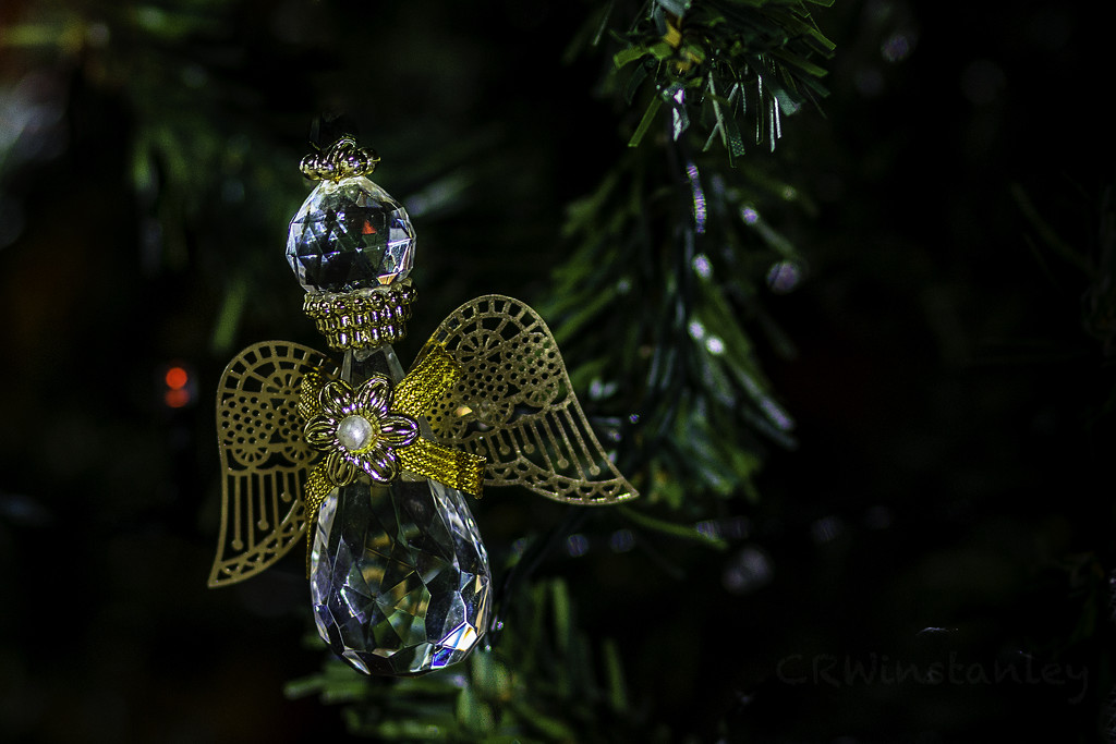 Day 341 Christmas Angel by kipper1951