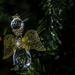 Day 341 Christmas Angel by kipper1951