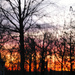 Wintery Sunset Impressionism by alophoto