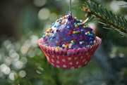 9th Dec 2017 - a purple cupcake...