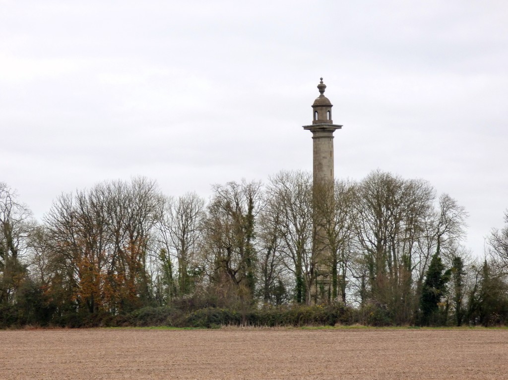 Burton Pynsent Monument  by julienne1