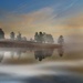 Morning Fog by lynnz
