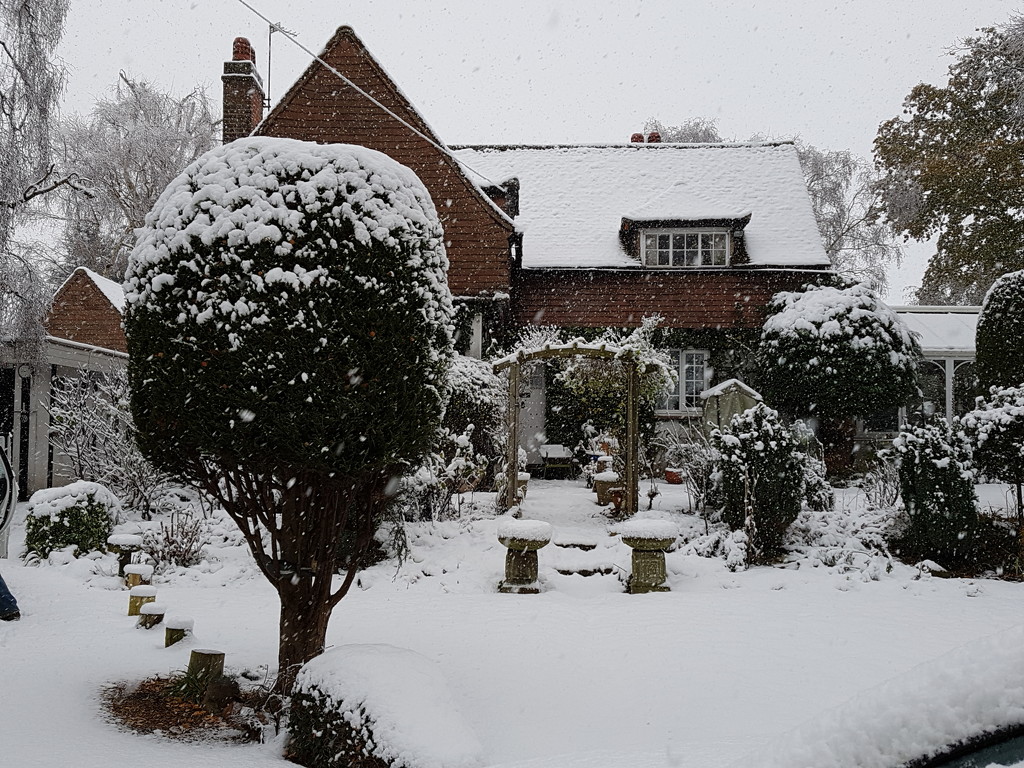 Our house this morning  by rosiekind