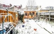 10th Dec 2017 - First snow in the garden