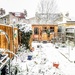 First snow in the garden by boxplayer
