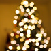 Bokeh Christmas tree by mittens