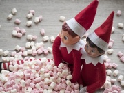 7th Dec 2011 - Mischievous Elf! Mini Marshmallows 