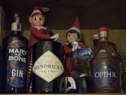 4th Dec 2011 - Mischievous Elf! - Found the Gin!