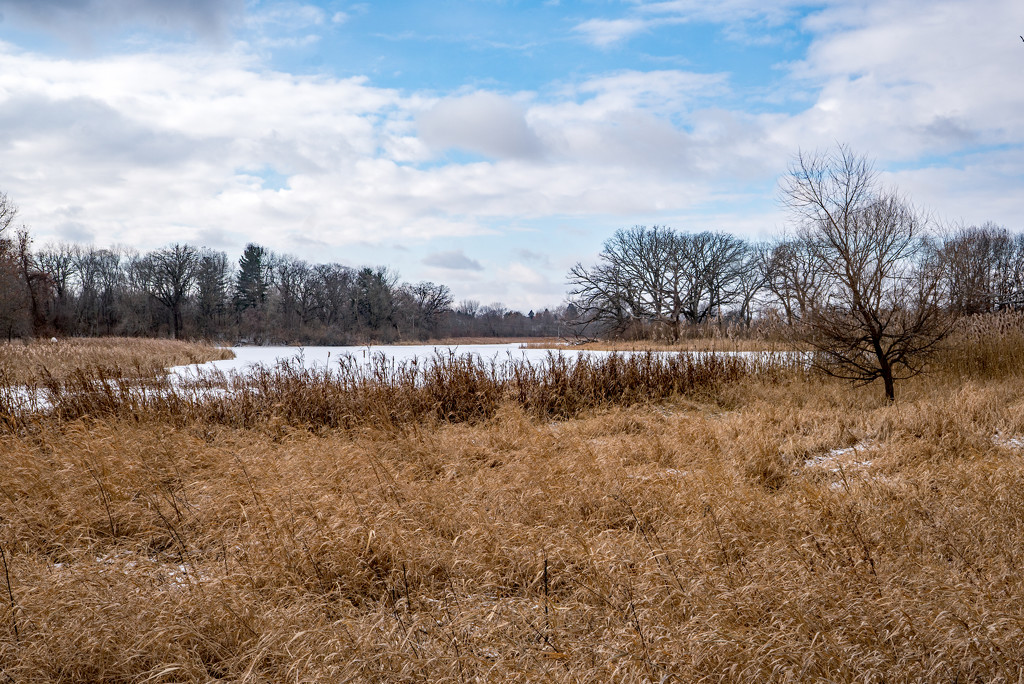 Lake Landscape Sans Grass by rminer