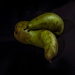 Pears by haskar