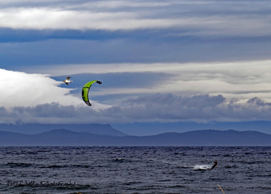 Kite Surfing at Columbia Beach by kathyo