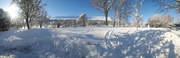 11th Dec 2017 - winter wonderland