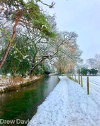 11th Dec 2017 - Snowy riverside 