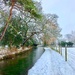 Snowy riverside  by 365projectdrewpdavies
