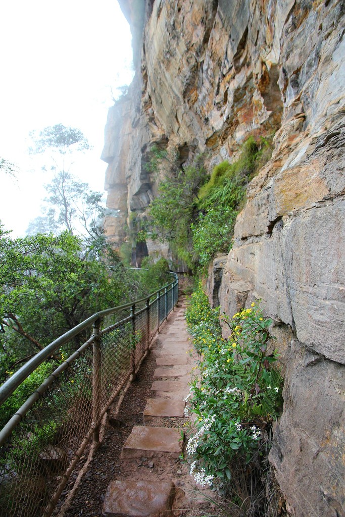 Narrow path along the cliff face by leggzy