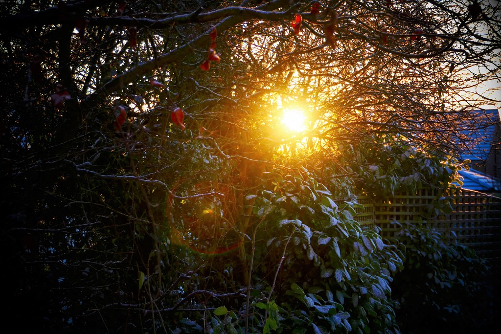 Sunrise! by carole_sandford