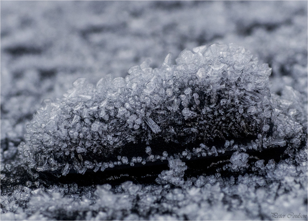 Ice Crystals  by pcoulson