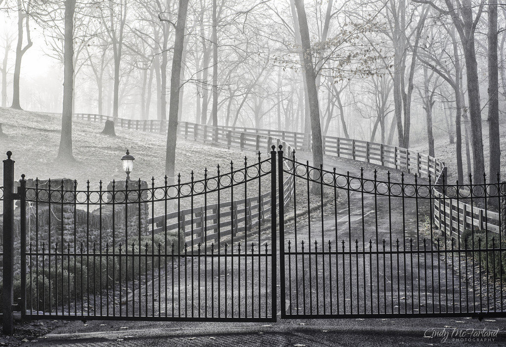 Fog Beyond the Gate by cindymc
