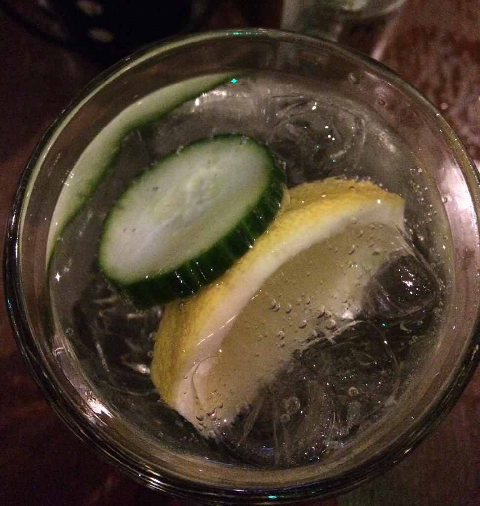 Post Work G&T  by elainepenney