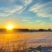 snowy sunrise  by 365projectdrewpdavies