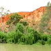 Along the banks of the Murray River Renmark by 777margo