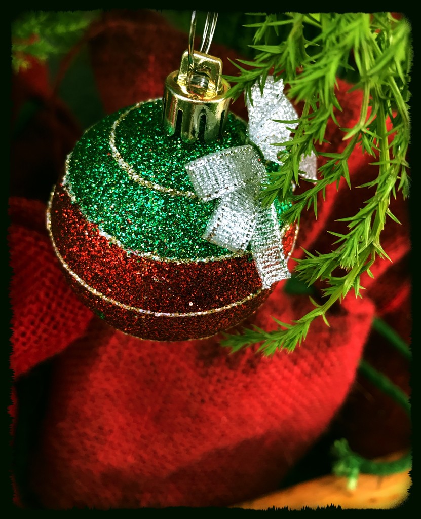 Day 87:  Festive And Sparkly  by sheilalorson