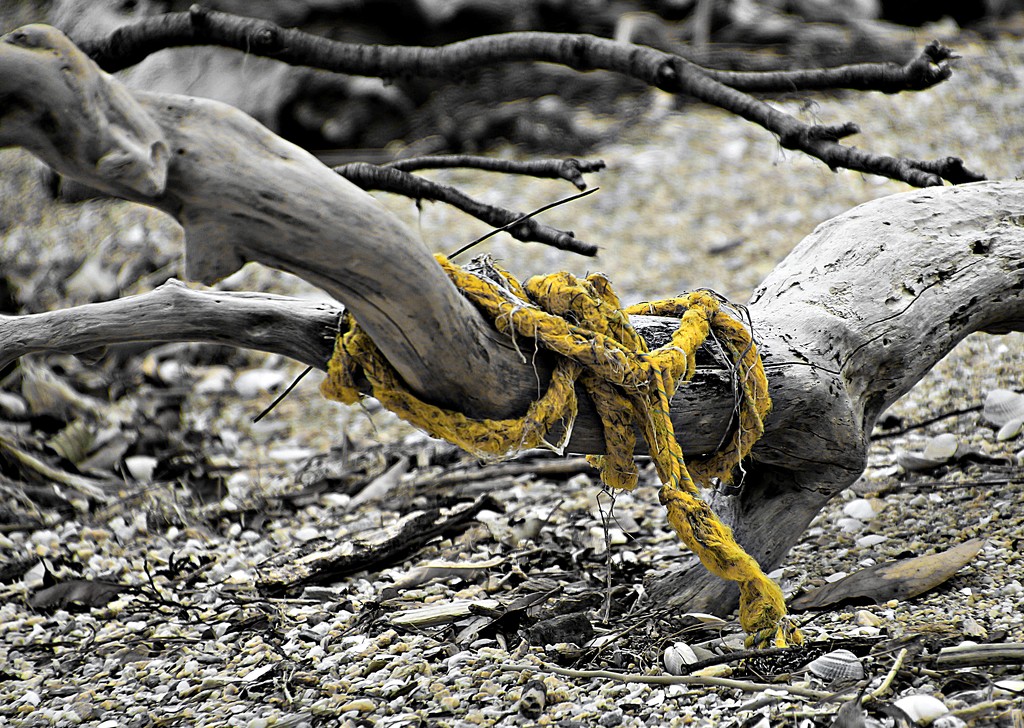 Tie a yellow ribbon by kiwinanna