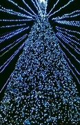 13th Dec 2017 - The Gigantic Tree in the Square
